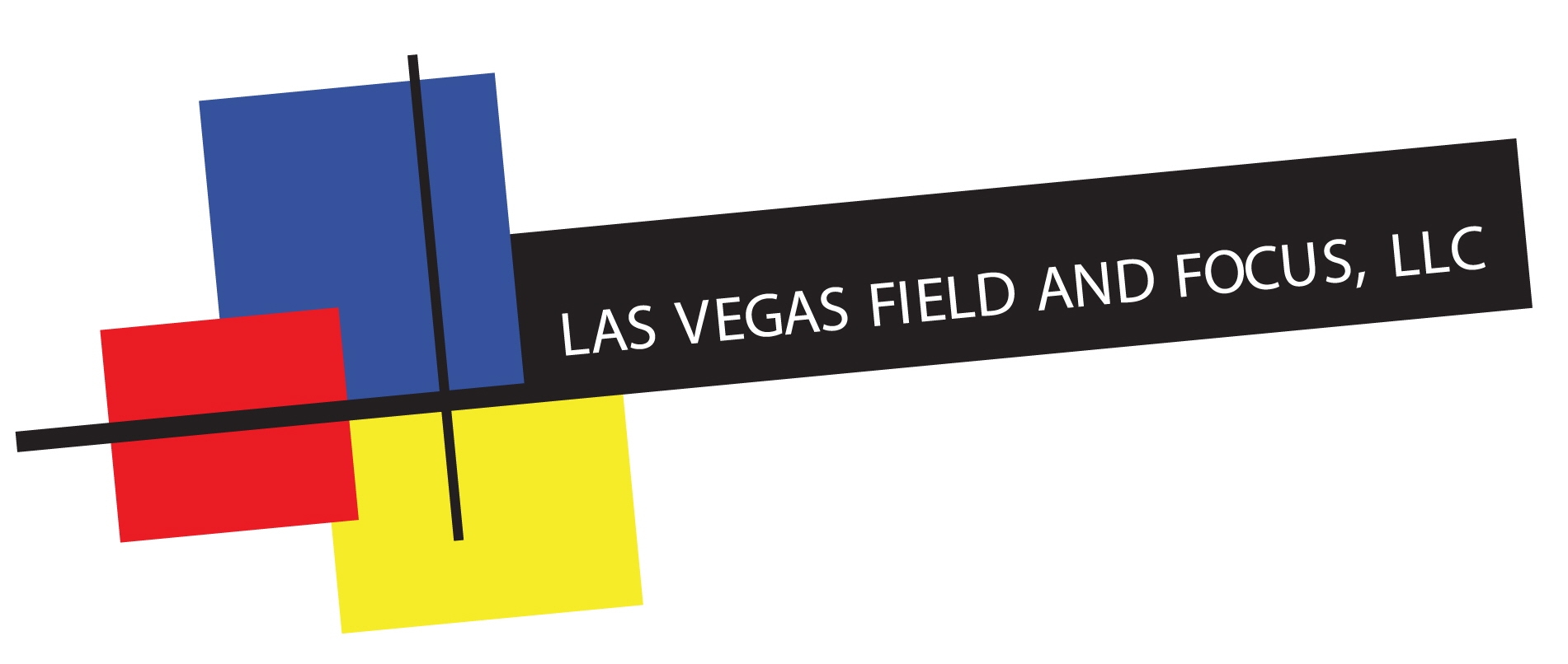 Las Vegas Field and Focus Group